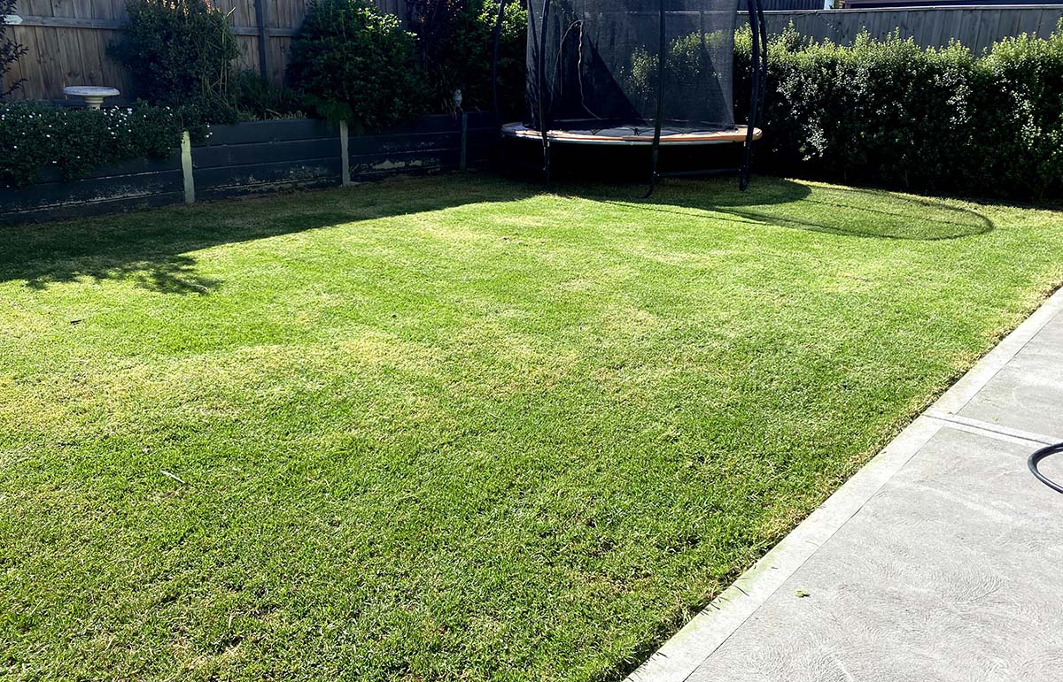 Keep your outdoor space pristine with our expert lawn mowing service. Our team at Jordan's Gardening Service understands that a well-maintained lawn is the ..