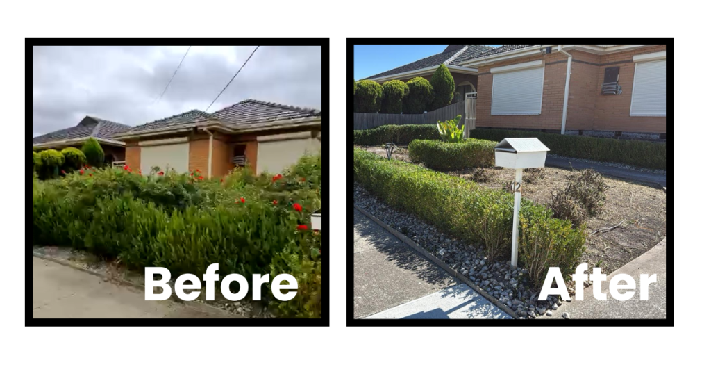 Melbourne garden care experts