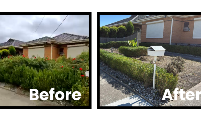 Melbourne garden care experts