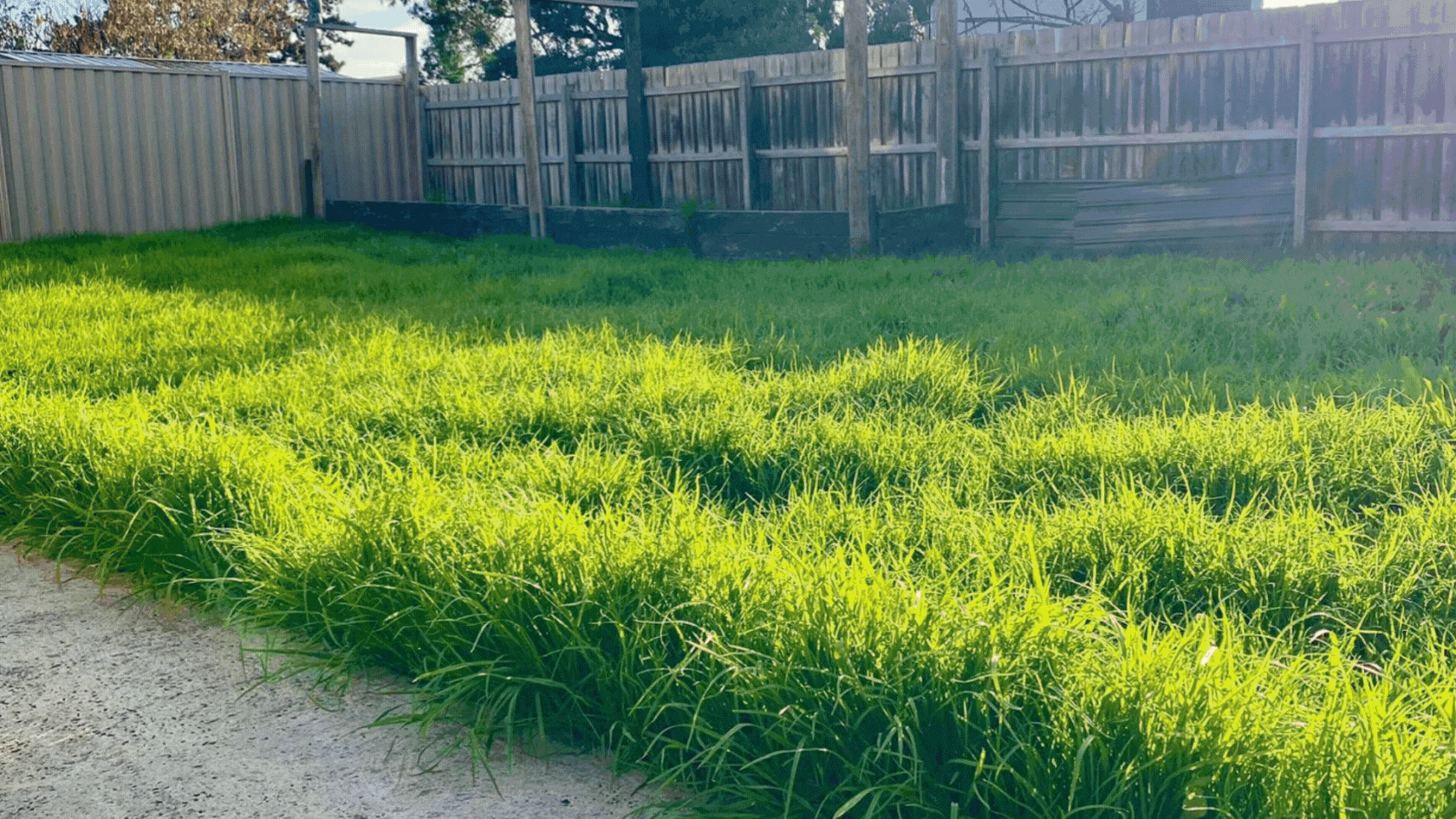 lawn mowing