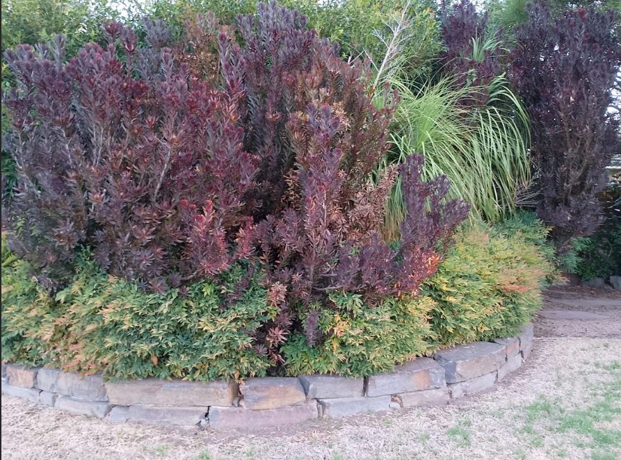 garden maintenance
