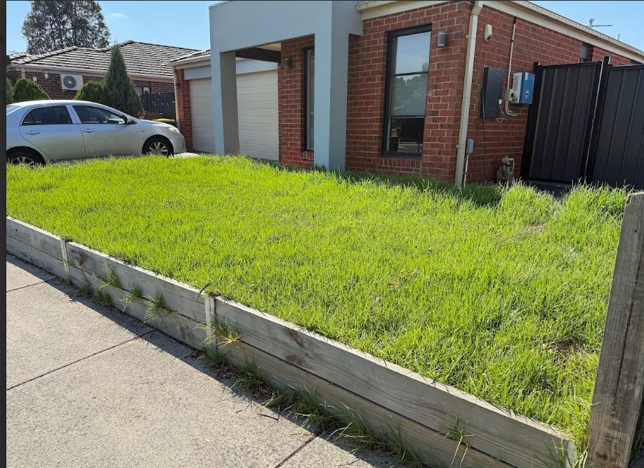 backyard maintenance