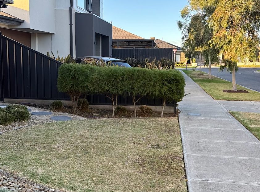 lawn hedge trimming