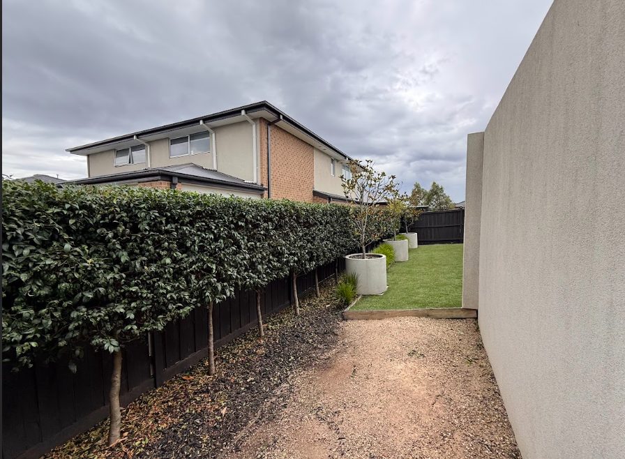 hedge trimming