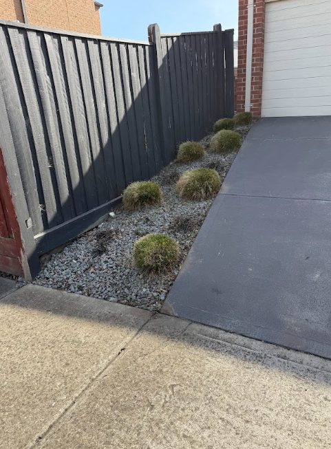 hedge trimming