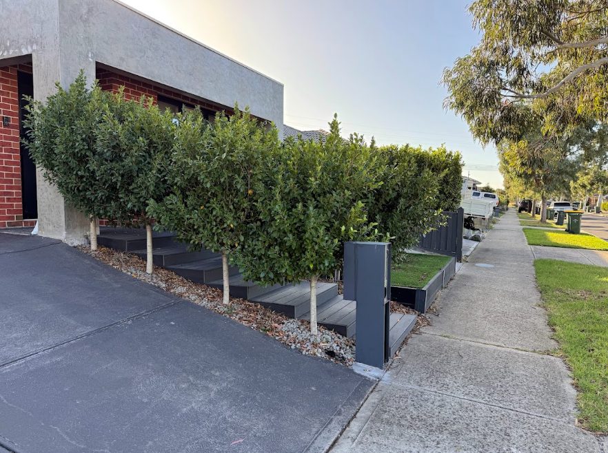 hedge trimming