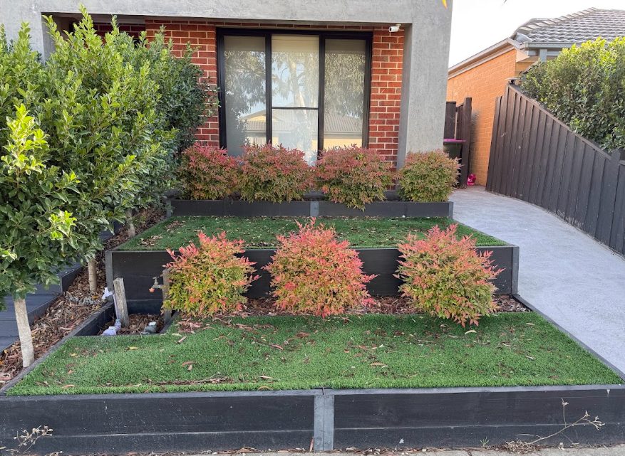 garden hedges trimming