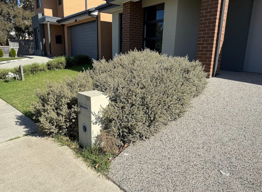 hedge trimming