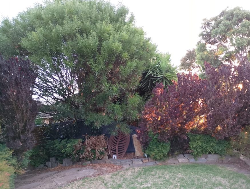 garden maintenance