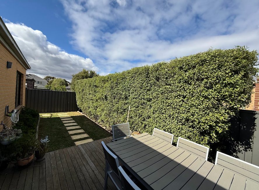 hedge trimming