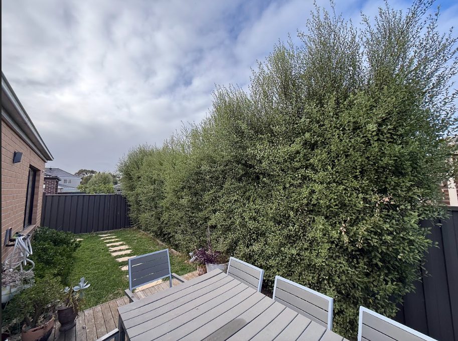 hedge trimming