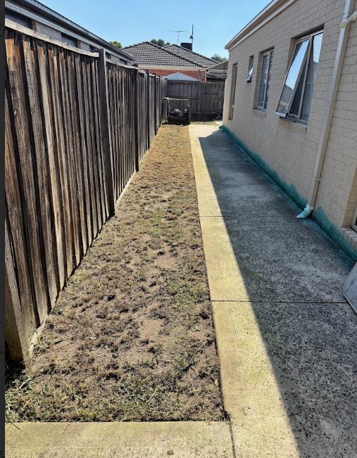 side yard edging
