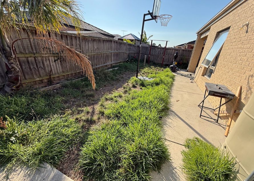 side yard maintenance