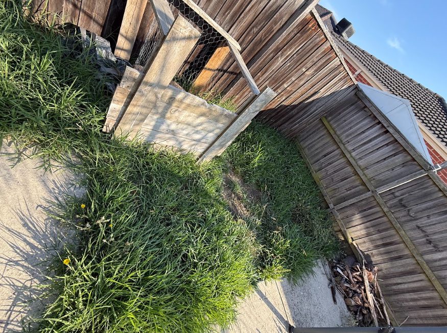 backyard maintenance