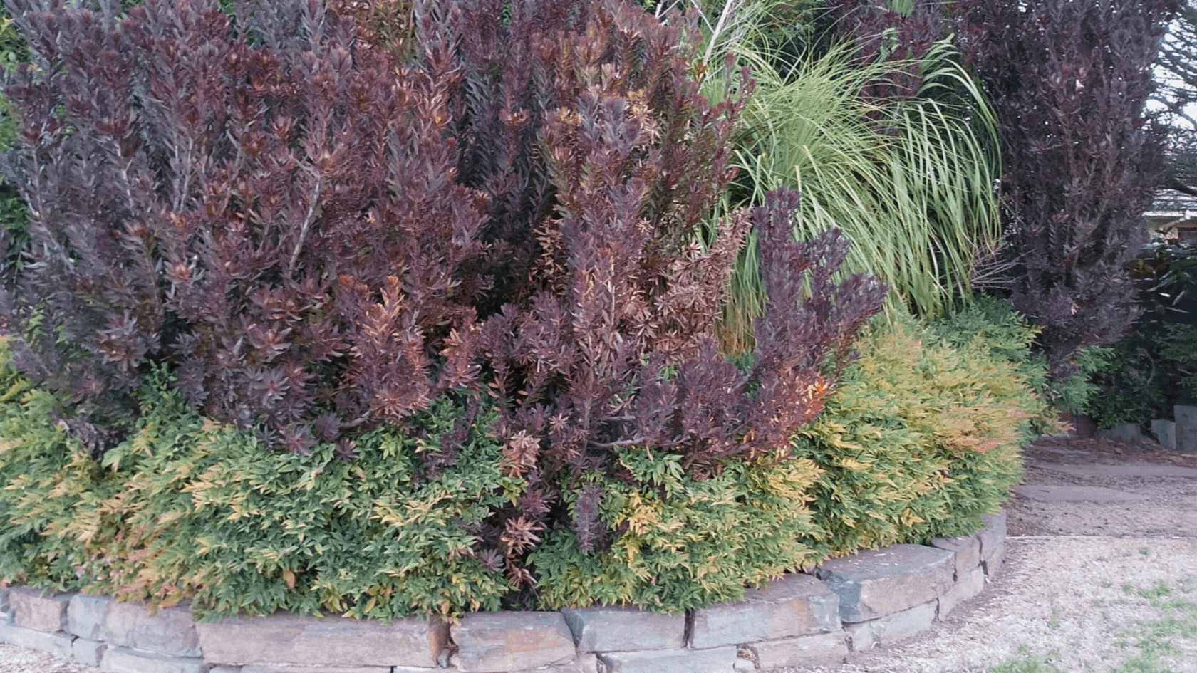Seasonal Garden Maintenance: Keep Your Outdoor Space Thriving Year-Round
